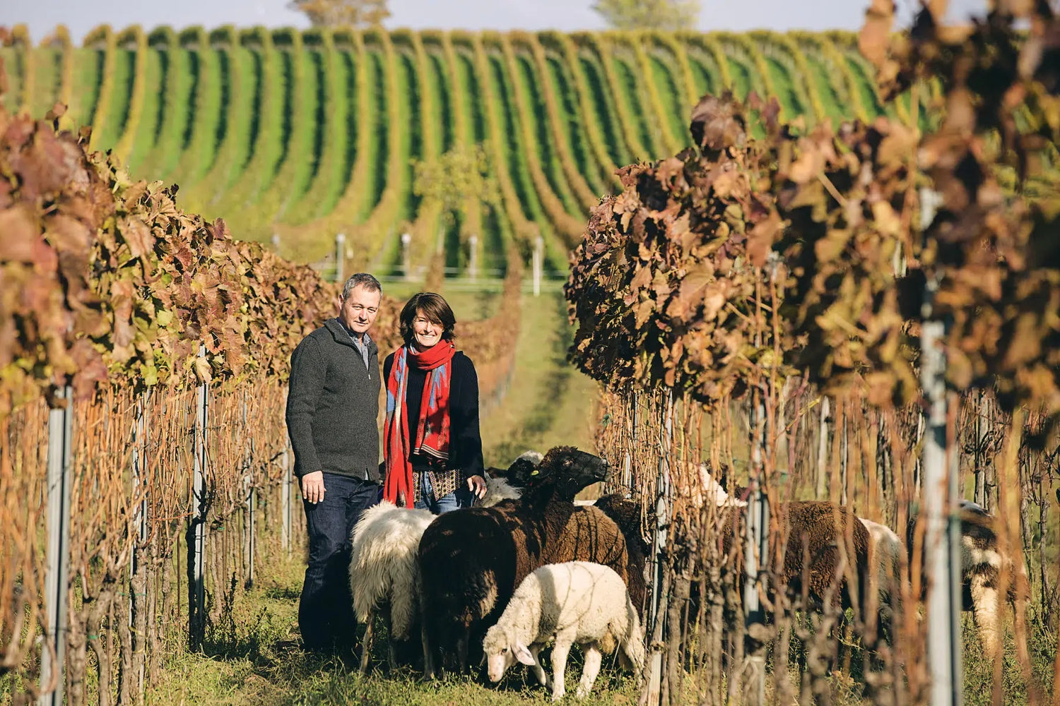 Zeitwein: Weingut Heinrich Banner