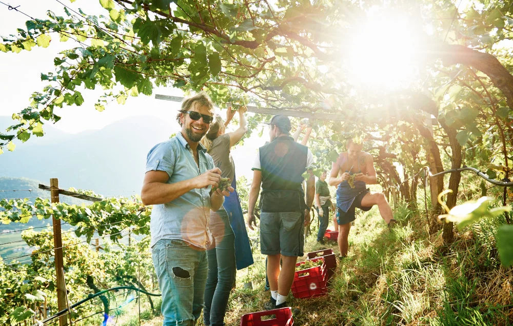 Zeitwein: Weingut Pranzegg Banner