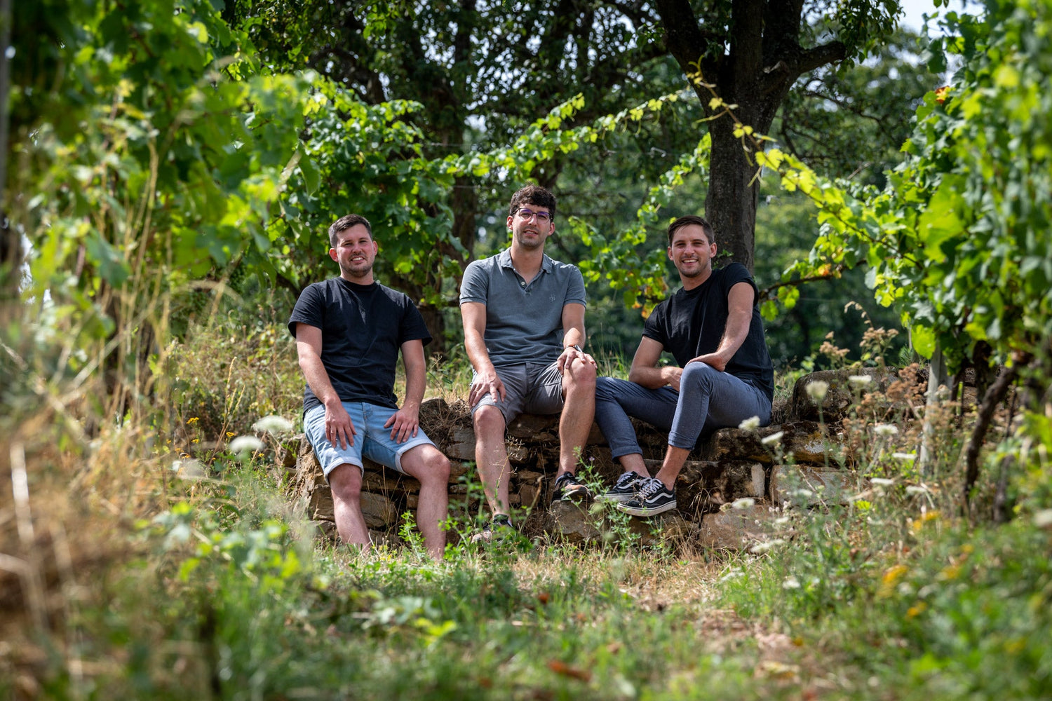 Zeitwein: Die Brüder Seckinger Banner