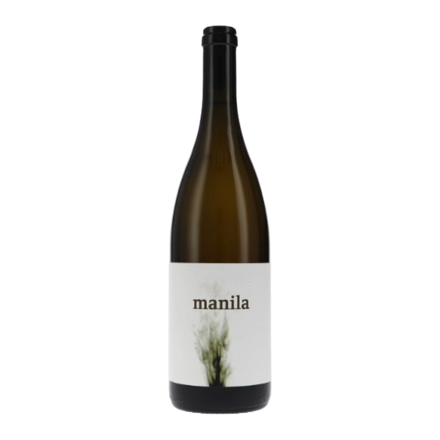 Manila weiss 2022