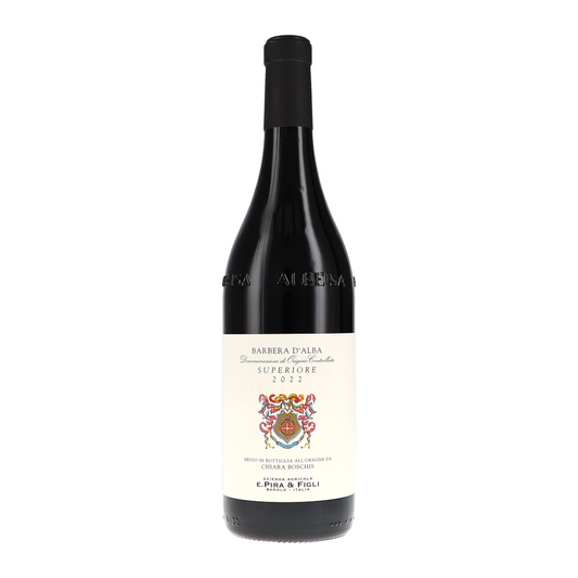 Barbera d'Alba Superiore DOC 2022